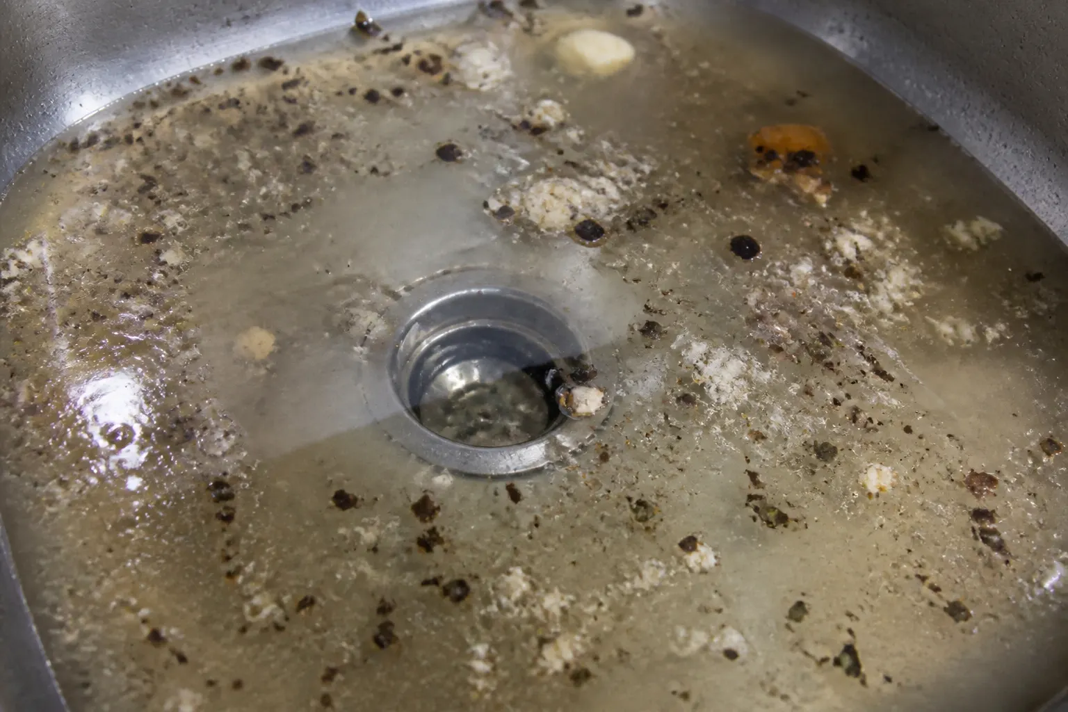 Standing water in a Tampa kitchen sink before drain cleaning Standing water in a Tampa kitchen sink before drain cleaning